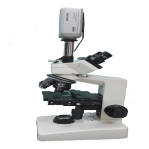 Trinocular Microscope